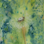 Dandelion Clock