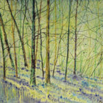 Bluebell Woods