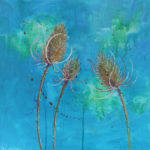 Teasels