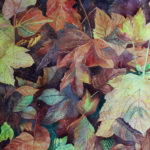 Autumn Leaves