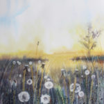 Dandelion Meadow