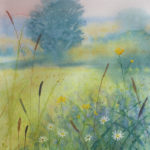 A Spring Meadow